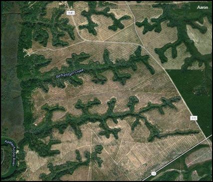 Theatre-shaped valleys in the Apalachicola Bluffs and Ravines Preserve, Florida, USA. 